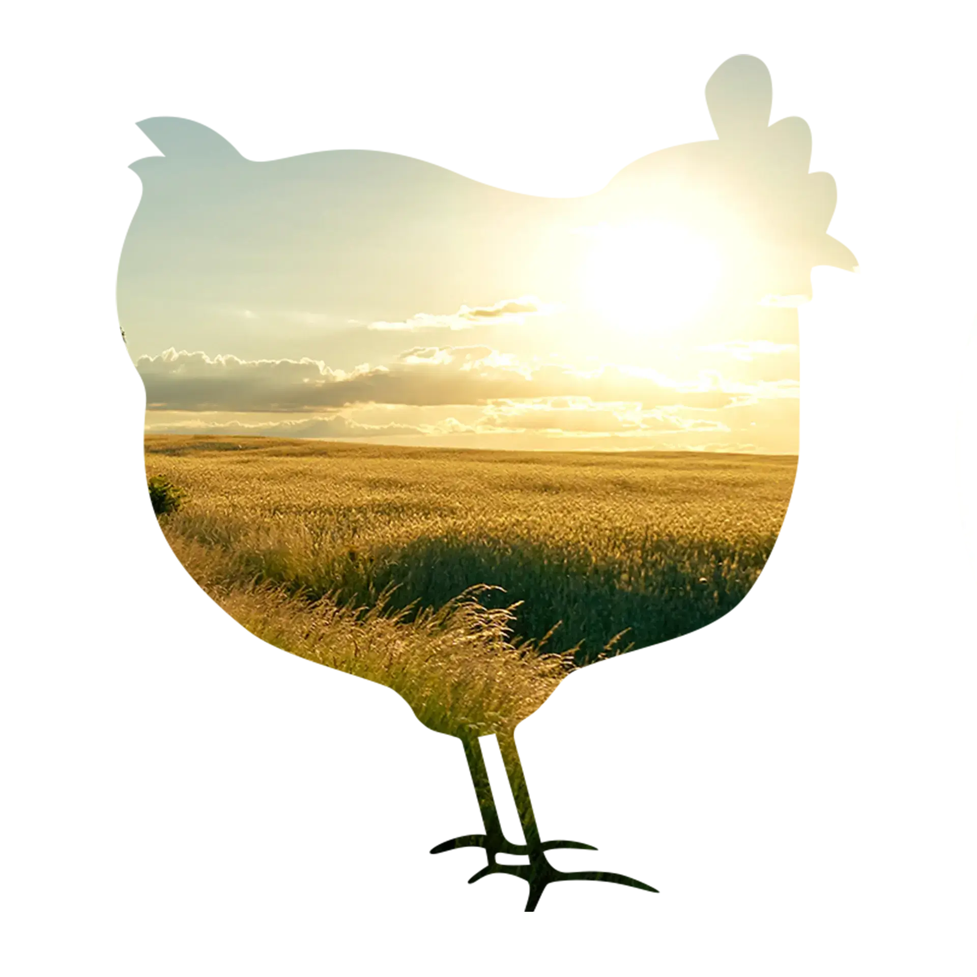 mask-hen
